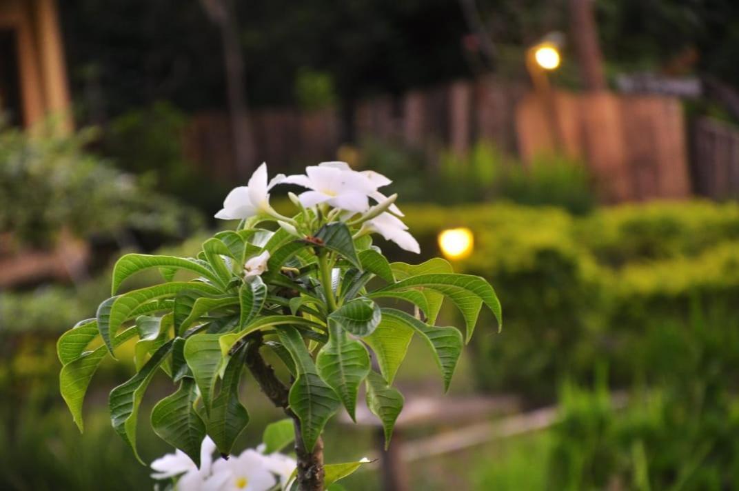 Pondok Guru Bakti Cottage Senaru Exteriör bild